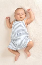 Image for Reducing the Risk of Sudden Infant Death Syndrome